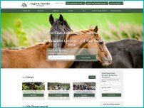 equinetrader.co.nz
